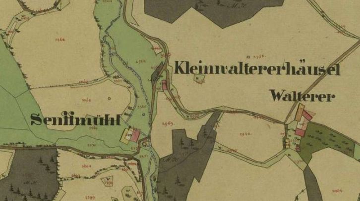 kleines Bild der Senfmühle