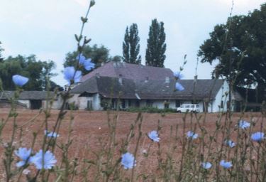 kleines Bild der Neumühle