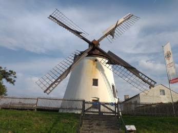 kleines Bild der Windmühle Podersdorf