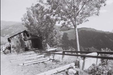 kleines Bild der Säge in Anras