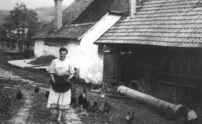 kleines Bild der Hofmühle Höllmühle