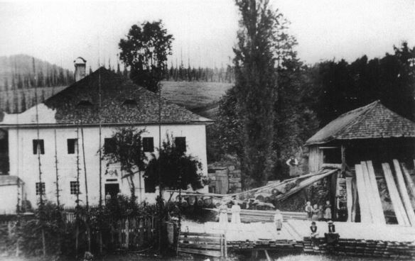 kleines Bild der Fischmühle