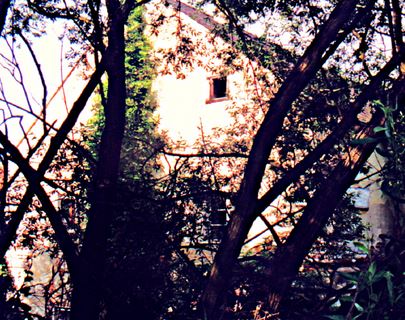 kleines Bild der Schlossmühle