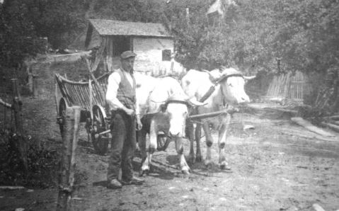 kleines Bild der Pfaffetschläger Dorfmühle