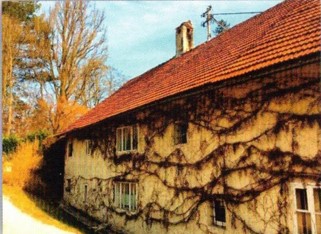 kleines Bild der Hofmühle und Säger