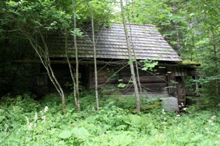 kleines Bild der Lunzermühle