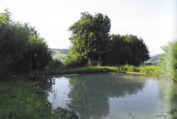 kleines Bild der Grüblmühle