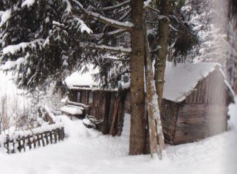 kleines Bild der Sinnisreithmühle