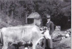 kleines Bild der Unterwohlfahrtsschlagmühle