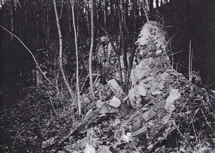 kleines Bild der Krotenmühle