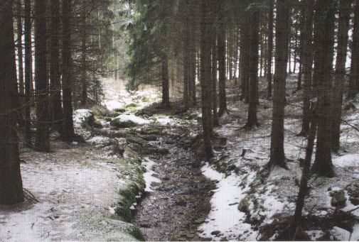 kleines Bild der Rammelhofmühle