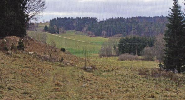 kleines Bild der Hausmühle