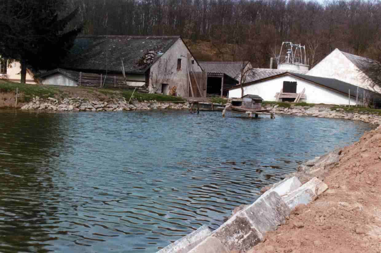 kleines Bild der Ledermannmühle