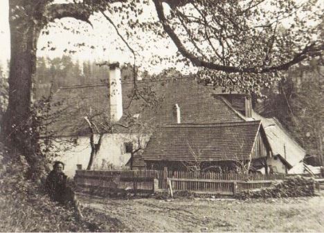 kleines Bild der Fürthmühle