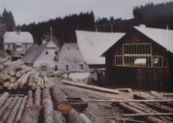 kleines Bild der Fürstmühle
