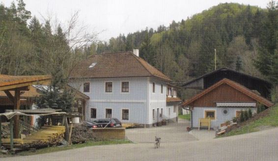 kleines Bild der Mangmühle