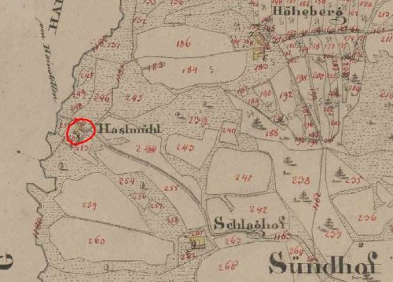 kleines Bild der Haselmühle