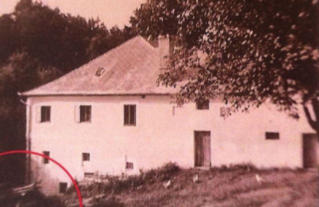 kleines Bild der Käfermühle