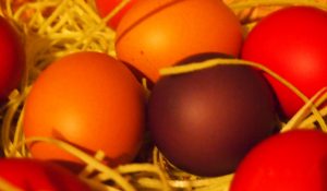 Osternest